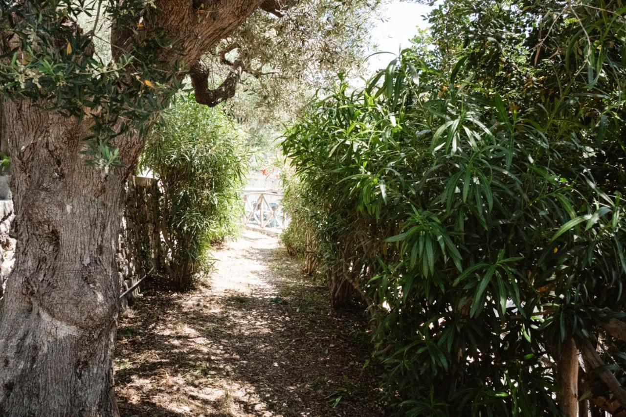 Apartmán Casa Gioia Amalfi Exteriér fotografie